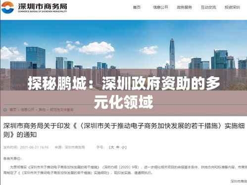 探秘鹏城:深圳政府资助的多元化领域