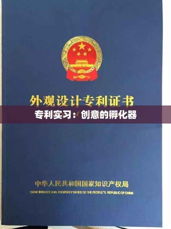 专利实习：创意的孵化器