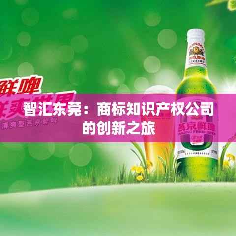 智汇东莞：商标知识产权公司的创新之旅