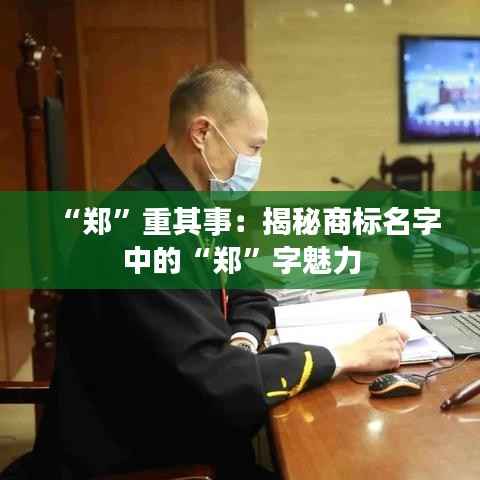 知识产权预算中心 第417页