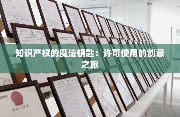 知识产权的魔法钥匙：许可使用的创意之旅