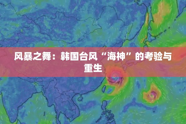 风暴之舞：韩国台风“海神”的考验与重生