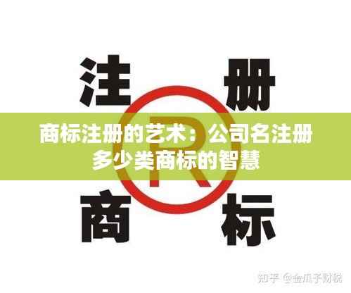 商标注册的艺术：公司名注册多少类商标的智慧