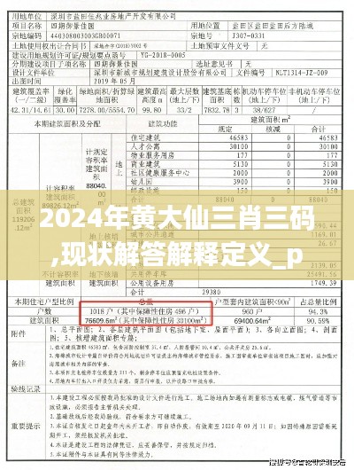 2024年黄大仙三肖三码,现状解答解释定义_pack16.496