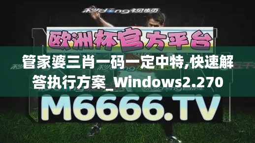 管家婆三肖一码一定中特,快速解答执行方案_Windows2.270