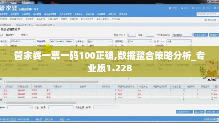 管家婆一票一码100正确,数据整合策略分析_专业版1.228