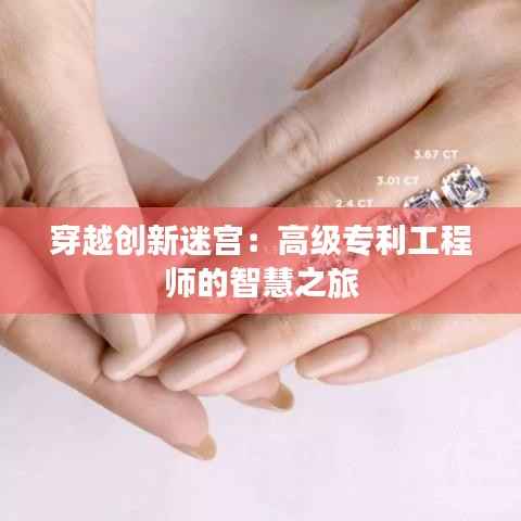 笨鸟先飞 第6页