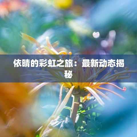 依晴的彩虹之旅：最新动态揭秘