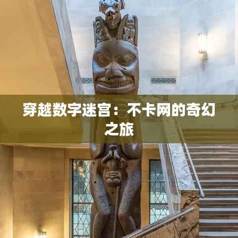 穿越数字迷宫：不卡网的奇幻之旅