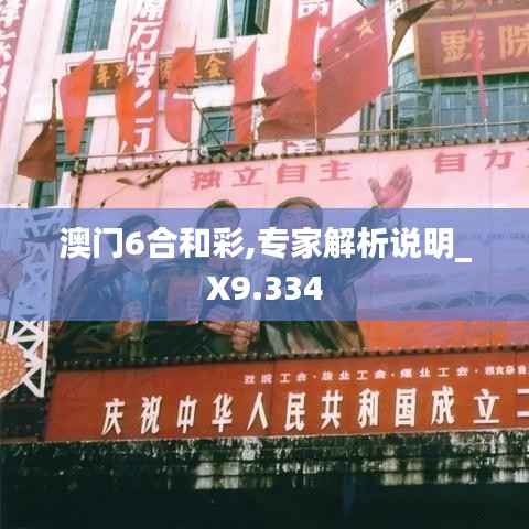 澳门6合和彩,专家解析说明_X9.334