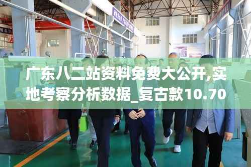 广东八二站资料免费大公开,实地考察分析数据_复古款10.702