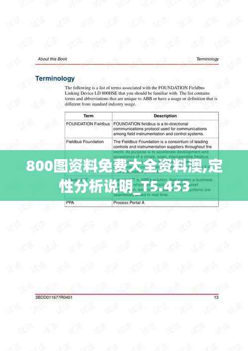 800图资料免费大全资料澳,定性分析说明_T5.453
