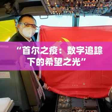 “首尔之疫：数字追踪下的希望之光”