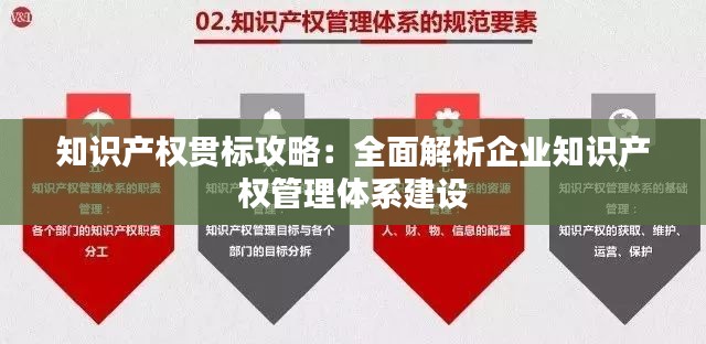 知识产权贯标攻略：全面解析企业知识产权管理体系建设