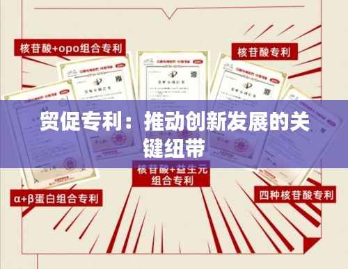 贸促专利：推动创新发展的关键纽带