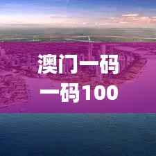 澳门一码一码100准确挂牌,实际案例解析说明_交互版9.122
