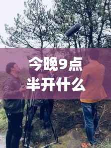 刚毅木讷 第6页