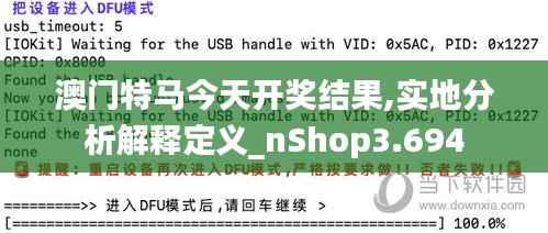 澳门特马今天开奖结果,实地分析解释定义_nShop3.694