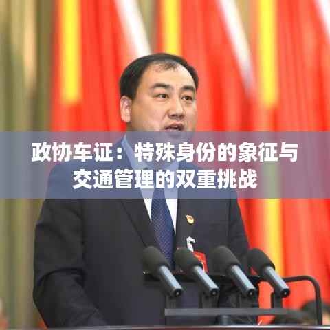 政协车证：特殊身份的象征与交通管理的双重挑战