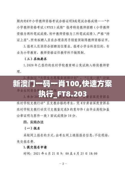 新澳门一码一肖100,快速方案执行_FT8.203