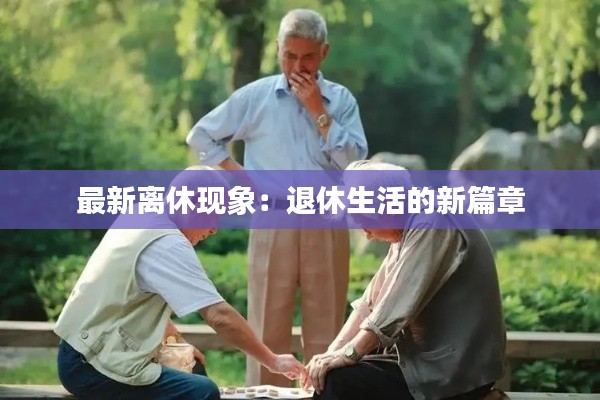 最新离休现象：退休生活的新篇章