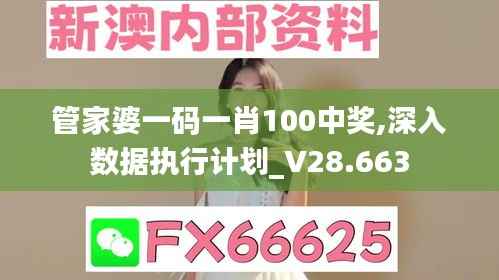 管家婆一码一肖100中奖,深入数据执行计划_V28.663
