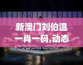 新澳门刘伯温一肖一码,动态分析解释定义_挑战版5.164