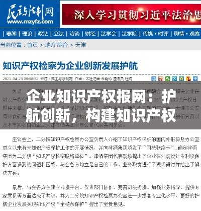 企业知识产权报网：护航创新，构建知识产权保护新生态