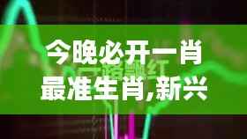 今晚必开一肖最准生肖,新兴技术推进策略_bundle4.241