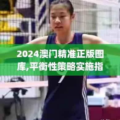 2024澳门精准正版图库,平衡性策略实施指导_网红版4.624