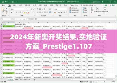 2024年新奥开奖结果,实地验证方案_Prestige1.107