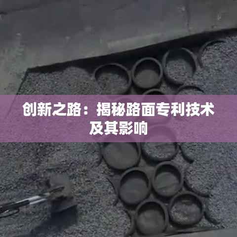 不翼而飞 第5页