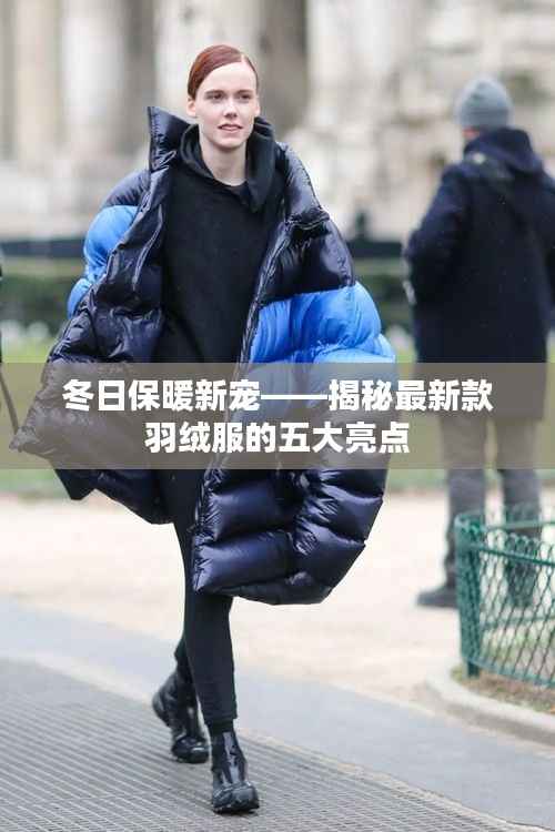 虫书鸟篆 第5页