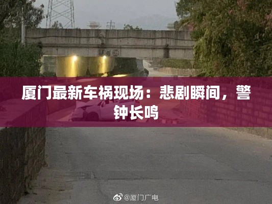 厦门最新车祸现场：悲剧瞬间，警钟长鸣