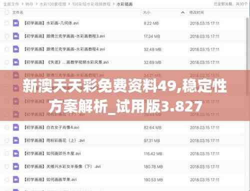 新澳天天彩免费资料49,稳定性方案解析_试用版3.827