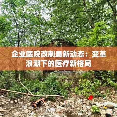企业医院改制最新动态：变革浪潮下的医疗新格局
