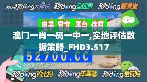 澳门一肖一码一中一,实地评估数据策略_FHD3.517