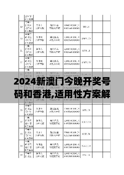 2024新澳门今晚开奖号码和香港,适用性方案解析_HT2.813