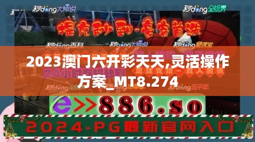 2023澳门六开彩天天,灵活操作方案_MT8.274