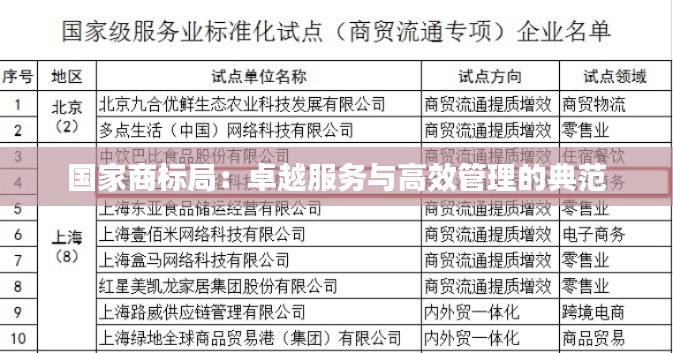 国家商标局：卓越服务与高效管理的典范