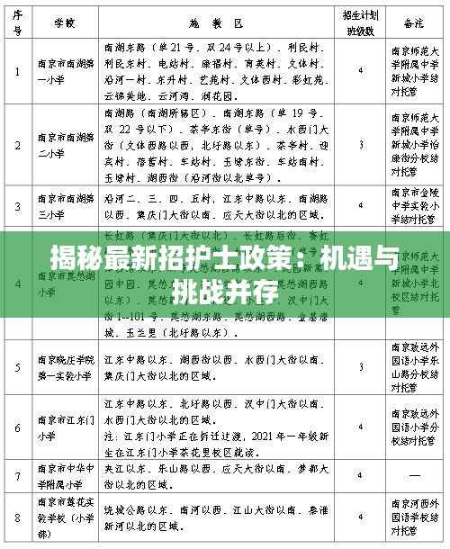 揭秘最新招护士政策：机遇与挑战并存