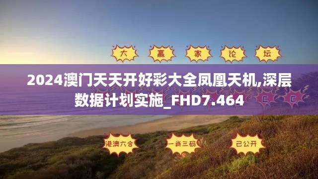 2024澳门天天开好彩大全凤凰天机,深层数据计划实施_FHD7.464
