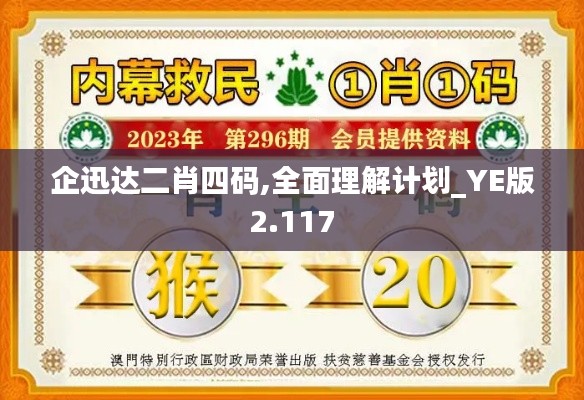 企迅达二肖四码,全面理解计划_YE版2.117