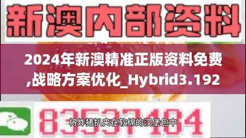 2024年新澳精准正版资料免费,战略方案优化_Hybrid3.192