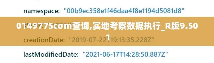 0149775cσm查询,实地考察数据执行_R版9.501