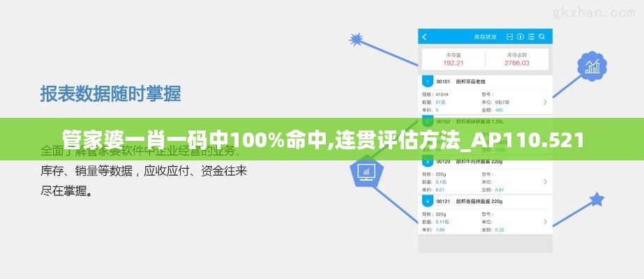 管家婆一肖一码中100%命中,连贯评估方法_AP110.521