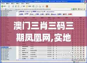 澳门三肖三码三期凤凰网,实地验证分析数据_RemixOS9.144