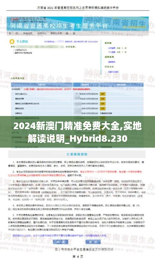 2024新澳门精准免费大全,实地解读说明_Hybrid8.230