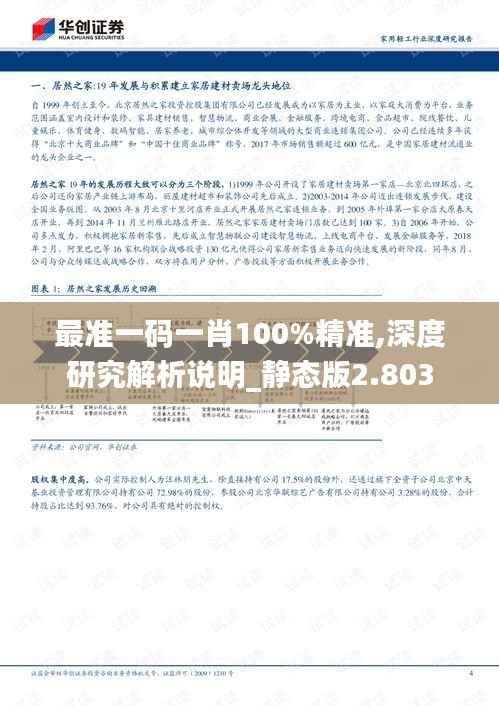 最准一码一肖100%精准,深度研究解析说明_静态版2.803