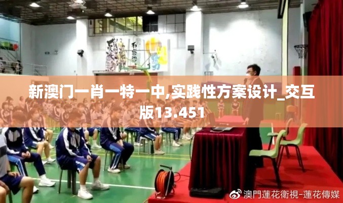 新澳门一肖一特一中,实践性方案设计_交互版13.451